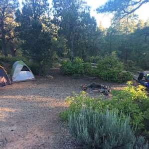 sweet little campsite for the night--complete with picnic table and fire pit! (AND potable water faucet located near extremely clean/fresh outhouse).