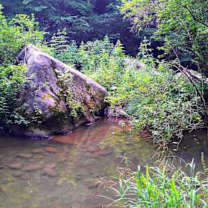 Yellow Creek Park Campground