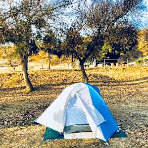 Our tent! 100 ft from bar and campfire