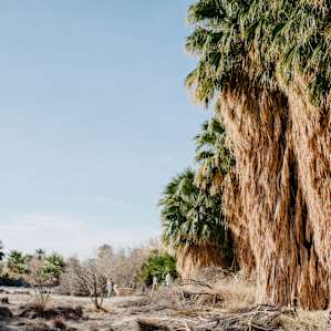 Wild Desert Sustainable Oasis