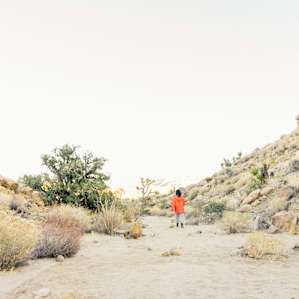hiking activity