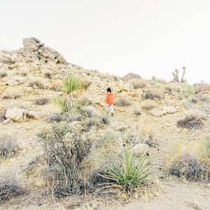hiking activity