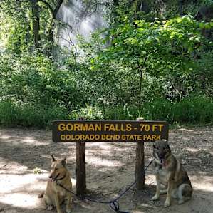 Colorado Bend State Park Campground