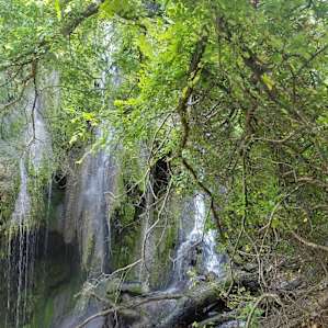 Colorado Bend State Park Campground