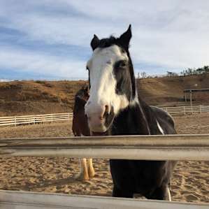 Unhitched Ranch