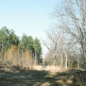The drive on up to the property!