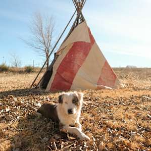 Also on the site are these tepees! And this pup!!!