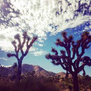 Black Rock Campground