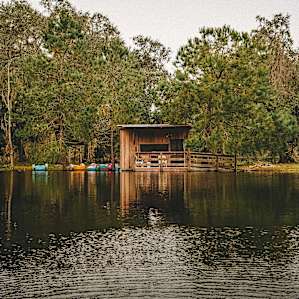 The sugar shack