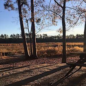 Little Pee Dee Campground