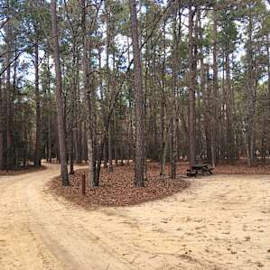 Little Pee Dee Campground