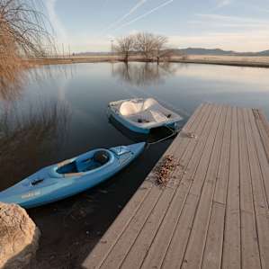 Dock on the pond