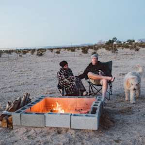 people campfire dog