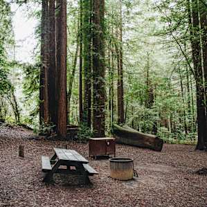 Bear locker, picnic table, & campfire ring w/ grill at each site.