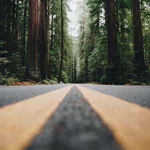 Campground located in the heart of Avenue of the Giants and right next to the visitor center.