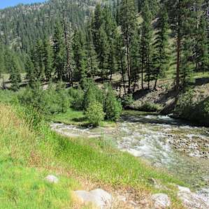 Short tail walk to the Natural Hot Springs.