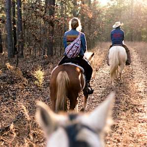 forest activity horseback