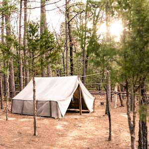 forest lodging canvas tent