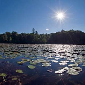 Lilly Lake