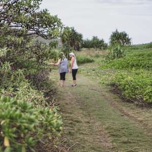 Along the local wetlands hike, definitely a great place to check out!