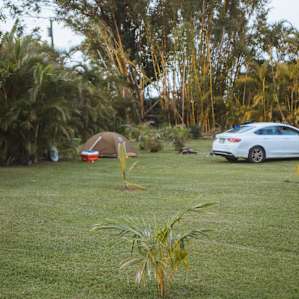 You can park your car next to where you set your tent up