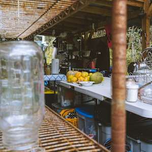 food fruits