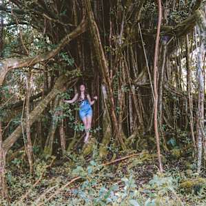 Exploring the banyan trees on the land