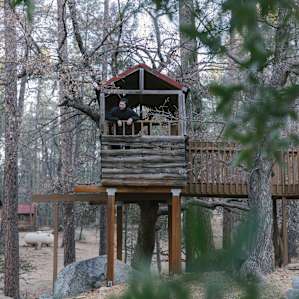 Treehouse from below