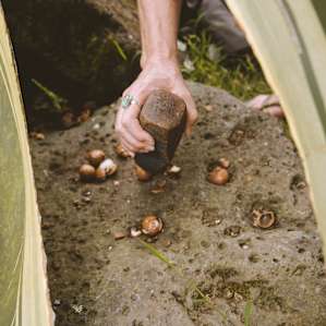 Barbara also has plenty of Macadamia nut trees and she gave us some nuts to crack on her rock, they are soo good!