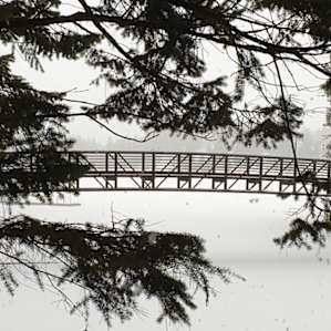 Bridge spanning part of Winchester Lake.