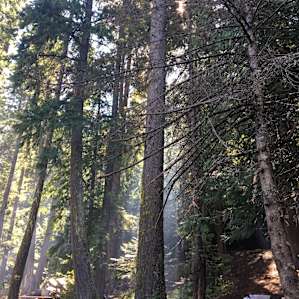 Glacier View Campground