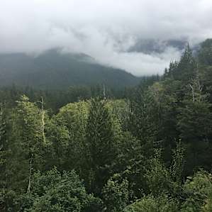Bedal Campground