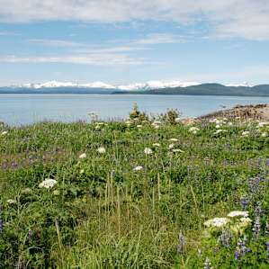 Auk Village Campground