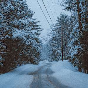 Though not far off the main road, this farm feels secluded and private.