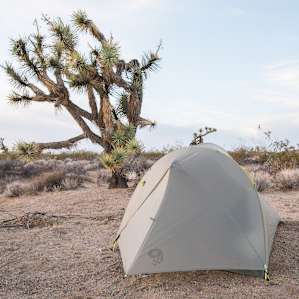 Two tent sites are nestled into the Joshua Trees, with a great view of the desert and nearby mountains.