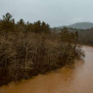 Rainy mornings on the blue ridge.