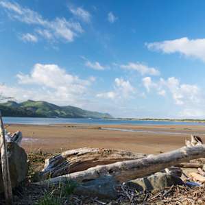 Morning at the Bay, low tide!