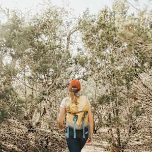 forest hiking activity
