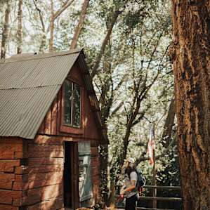 cabin forest people