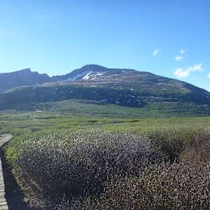 Camping area is near popular 14er Mt Bierstadt