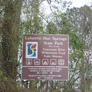 Lafayette Blue Springs State Park along the Suwannee River Wilderness Trail