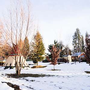 The tipi sits in a large garden with many trees.