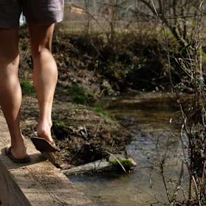 The creek on the property is awesome. Two more campsites are on the other side of it.