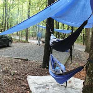 My husband and I camp in hammocks. Campsite #22 has trees that worked fine.