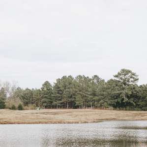 You can see my little tent on the opposite side of the pond.