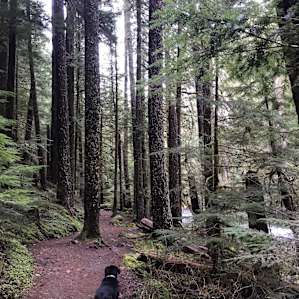 Bagby Campground
