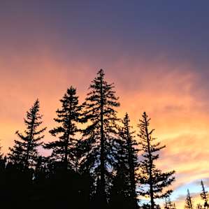 Lava Flat Designated Dispersed Camping Area