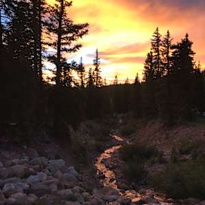 Lava Flat Designated Dispersed Camping Area