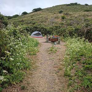 Great place for a beginners backpacking trip. We stayed at campsite #6. It was very secluded and quiet. You can walk from the coast camp sites on a short trail to the beach. Huge Beach with beautiful sand and not too many people around.