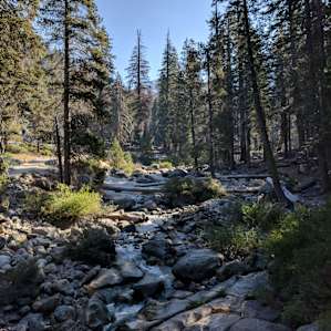 Lodgepole Campground